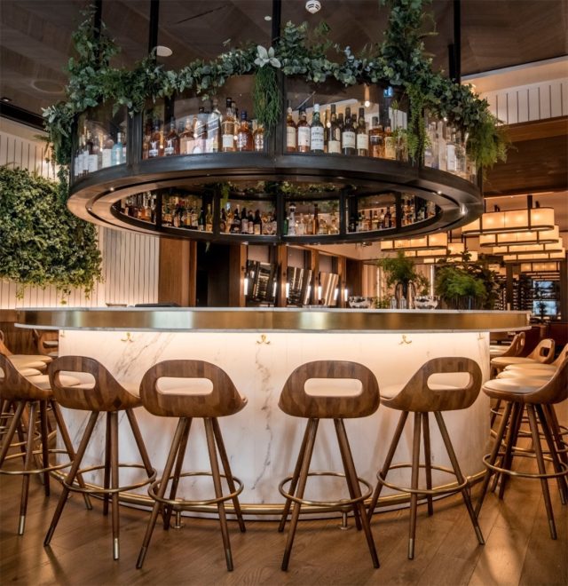 Rounded marble silver top bar interior with hanging alcohol bar shelf covered in green plant with wooden bar stools on a wooden floor.